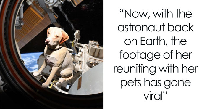 Astronaut Comes Back After 10 Long Months, Her Reunion With Dogs Melts Hearts Online