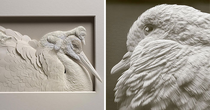 49 Incredible Paper Sculptures That Look Almost Alive By Calvin Nicholls