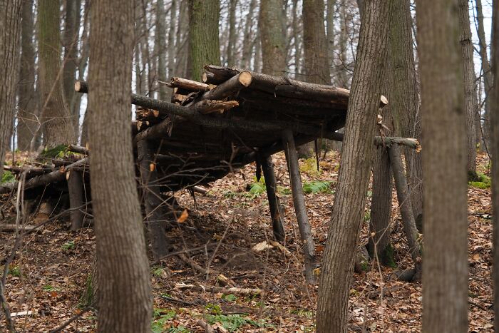 “Still Scares Me”: 47 People Who Couldn’t Sleep For Days After Spending Time In The Woods - 7