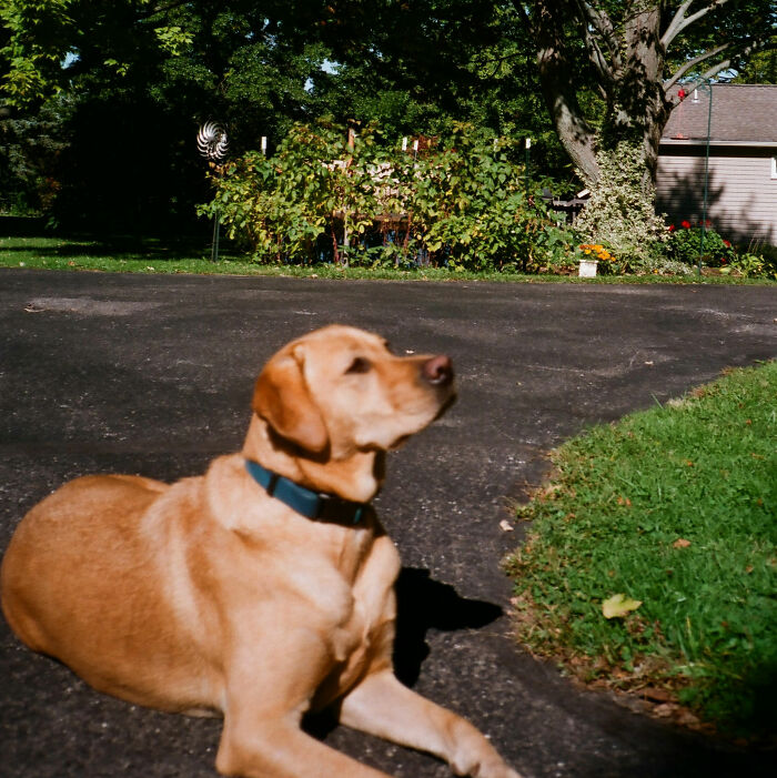 36 Workers Reveal The Strangest Excuses People Have Given To Call Off Work