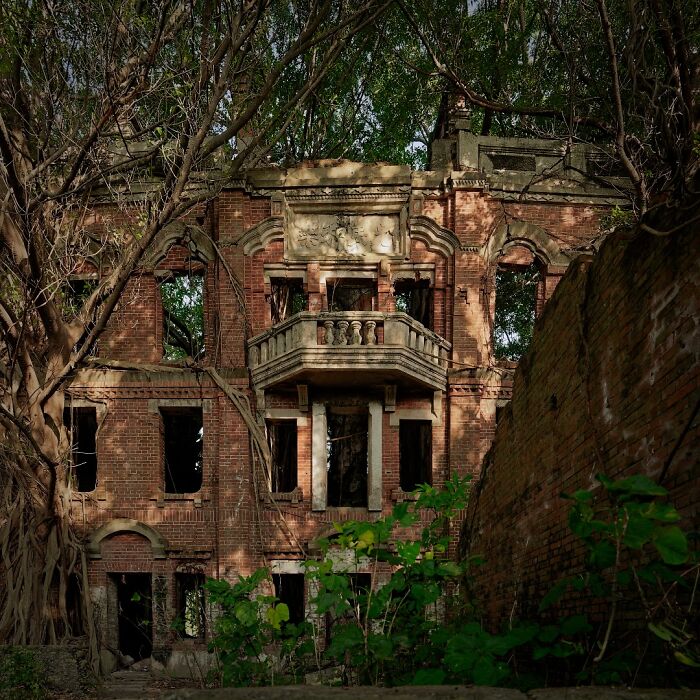 Abandoned brick mansion overtaken by trees and vegetation in a remote and eerie abandoned place setting.