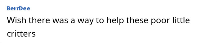 "First Rabbits, Now The Squirrels?": 'Zombie Squirrels' With Oozing Flesh Terrify US Homeowners