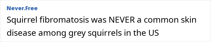 "First Rabbits, Now The Squirrels?": 'Zombie Squirrels' With Oozing Flesh Terrify US Homeowners