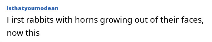 "First Rabbits, Now The Squirrels?": 'Zombie Squirrels' With Oozing Flesh Terrify US Homeowners