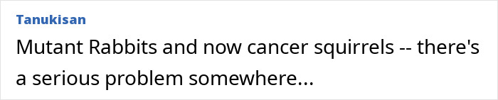 "First Rabbits, Now The Squirrels?": 'Zombie Squirrels' With Oozing Flesh Terrify US Homeowners