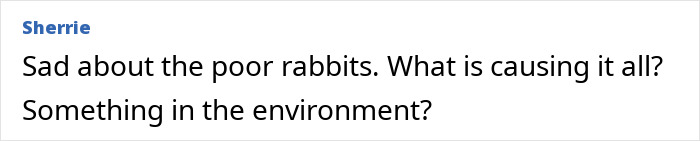 "First Rabbits, Now The Squirrels?": 'Zombie Squirrels' With Oozing Flesh Terrify US Homeowners