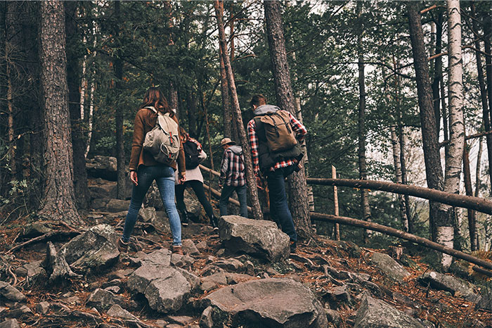 Group of people hiking through a rocky forest trail, illustrating exploration beyond pseudoscience and scams.