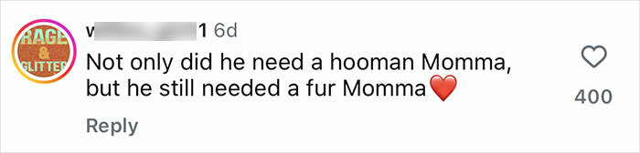 Comment about a rescue pup needing a fur momma, expressing love and care with a heart emoji.