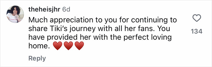 Comment praising the loving home provided to rescue pup Tiki as she feels safe with her wolfish sister.