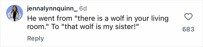Screenshot of a TikTok comment about the timid rescue pup feeling safe as his wolfish sister becomes his new bestie.