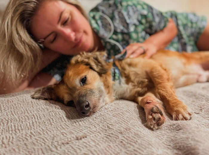 Timid rescue pup resting comfortably on bed with woman, showing trust and safety after gaining a wolfish sister as his bestie