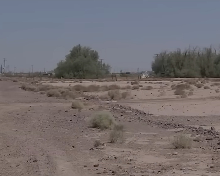 Desert landscape with dry bushes under a clear sky, setting for teen daughter&rsquo;s heartbreaking dog mauling incident.
