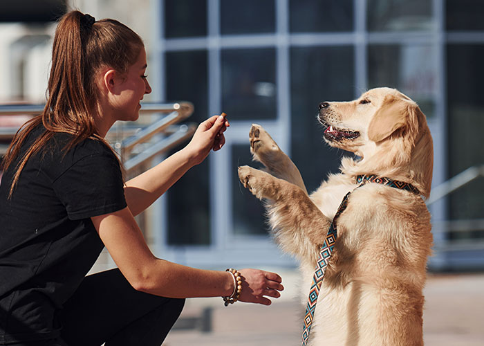 Woman keeps her promise to train cousin’s kids, shown smiling and interacting with a golden retriever during a sunny day outdoors Woman keeps her promise to train cousin’s kids, shown smiling and interacting with a golden retriever during a sunny day outdoors