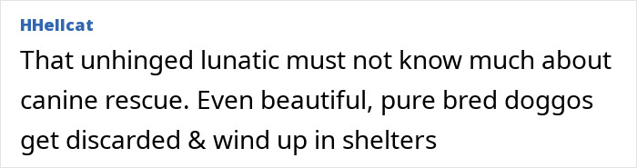 Unhinged woman confronts man walking his dog outdoors, then accuses him of harassment after being recorded.