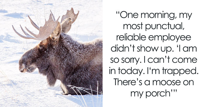 32 Managers Recall Crazy Excuses Employees Have Given Them That Actually Turned Out To Be True