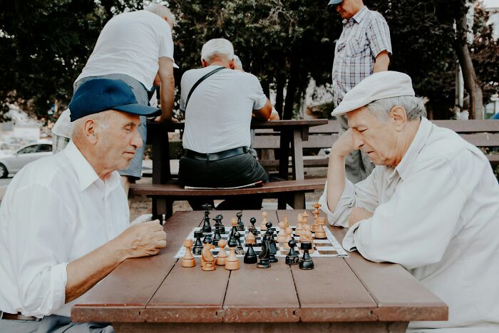 Two elderly men playing chess at a park bench, reflecting on hidden families and mob money secrets revealed.