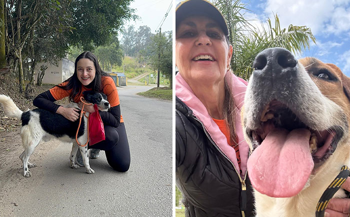 50 Times A Simple Walk Meant Everything To A Dog Without A Home