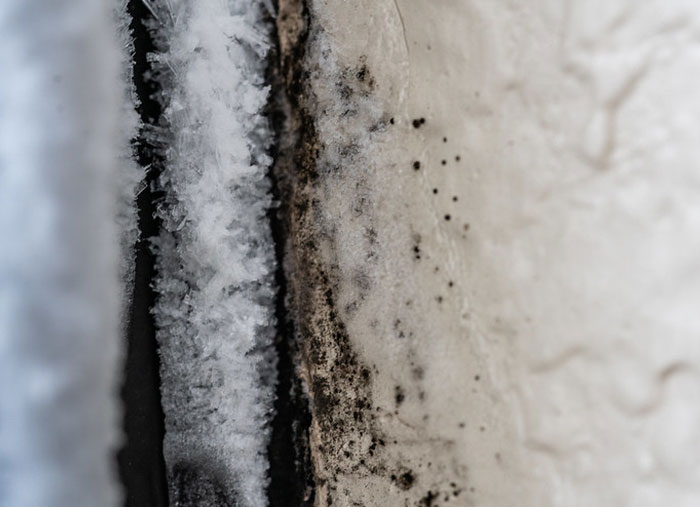 Close-up of frost and mold buildup on wall surface, illustrating challenging conditions Walmart employees face at work.