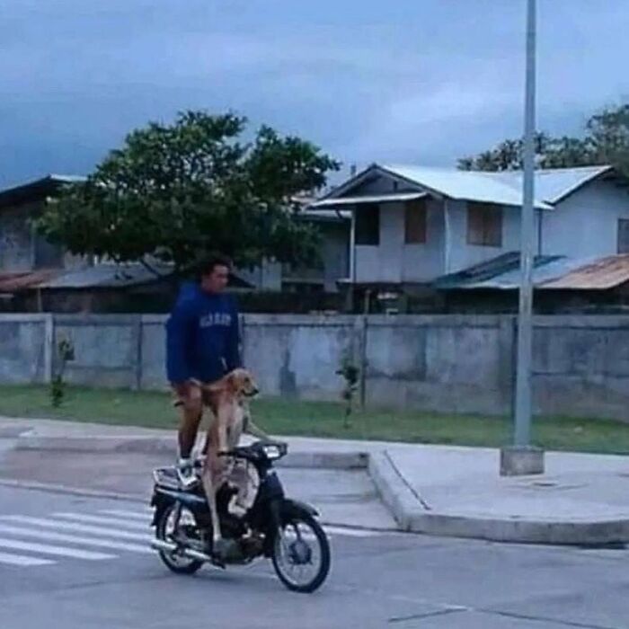 Man riding a motorcycle with a dog standing on the footrest, unusual cursed image from a daily cursed images Instagram page.