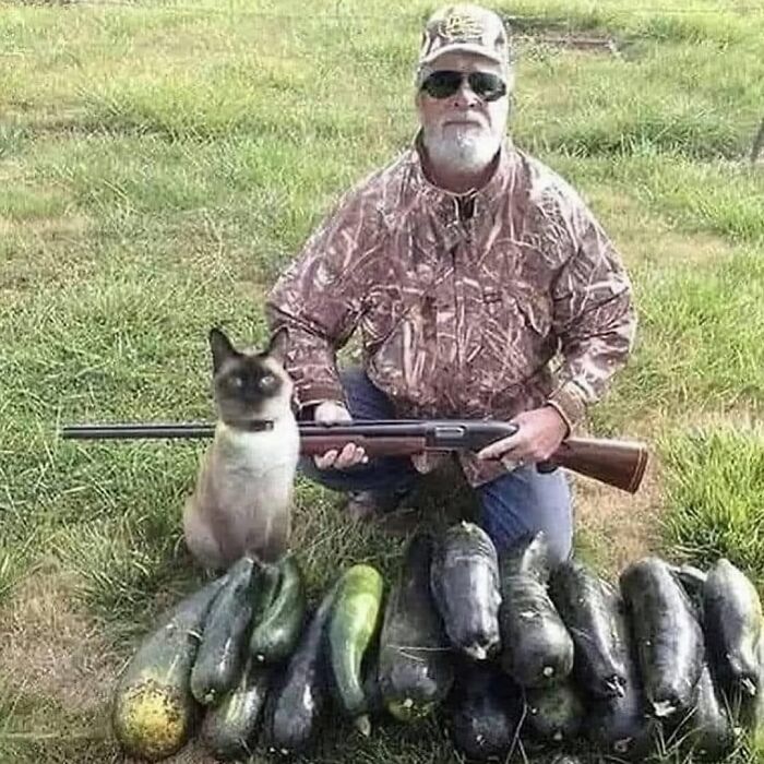 Man in camouflage with a s*****n kneeling next to a cat and large cucumbers in a grassy field, cursed images theme.