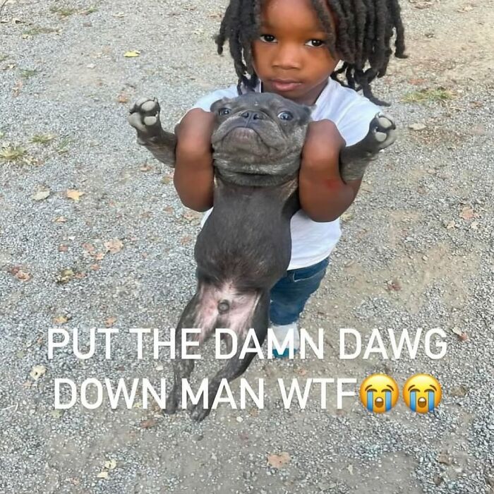Child holding a dog awkwardly on a gravel path, featured as part of daily cursed images disturbing fans on Instagram.