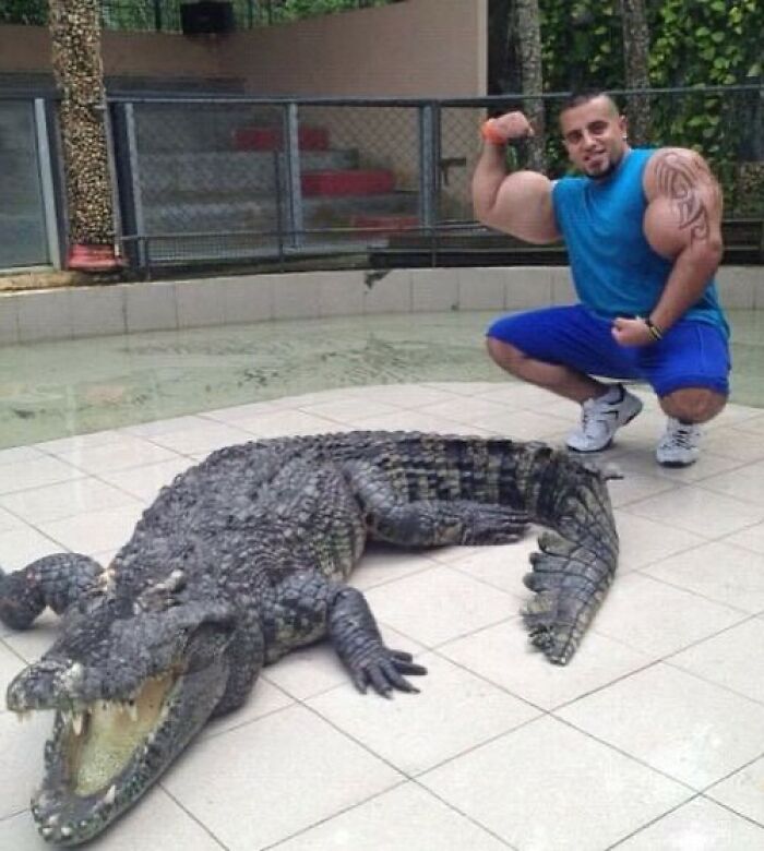Man with exaggeratedly large arm muscles posing next to a crocodile in a fenced outdoor area, cursed images example