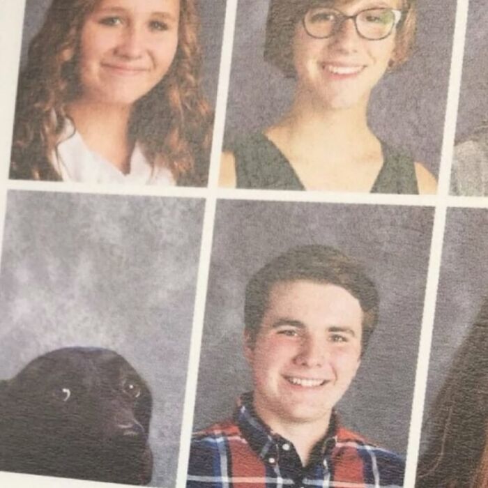 Yearbook photo layout showing students and a dog with a startled expression, a popular cursed image on social media.