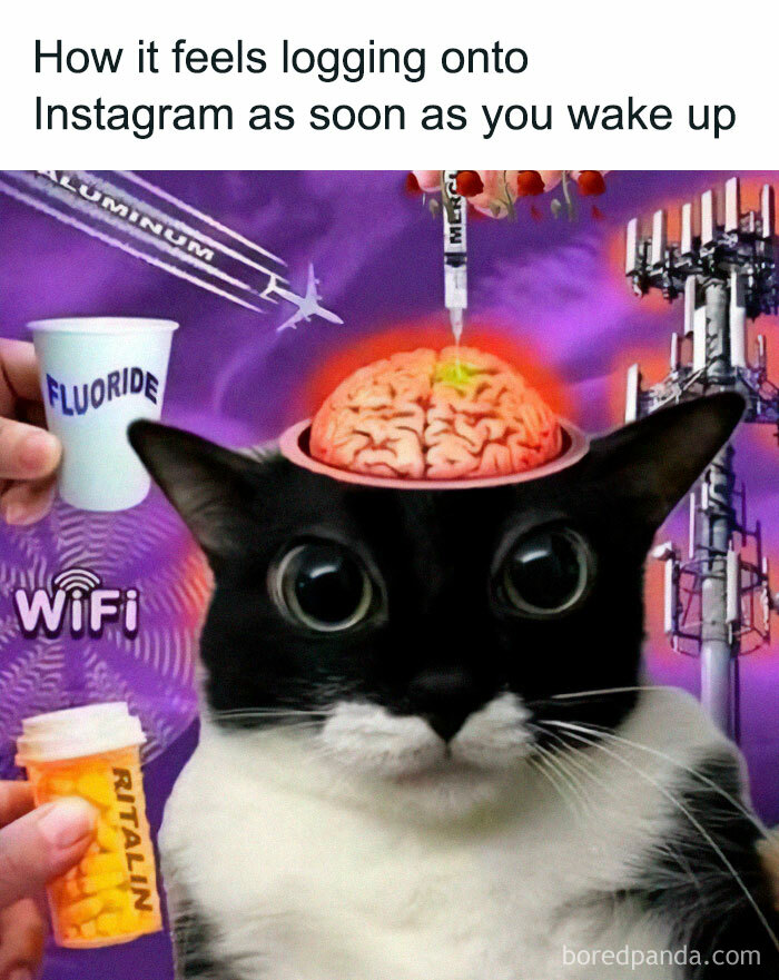 Black and white cat with exposed brain surrounded by WiFi, fluoride, Ritalin, and vaccine syringe in a surreal meme about broken sense of humor.