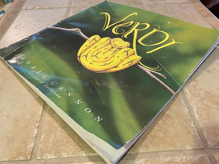 Book titled Verdi by Nell Gannon featuring a yellow snake on a branch, placed on a tiled surface.