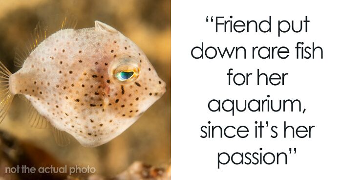 42 Guests Who Saw The Most Chaotic Items On Wedding Registries