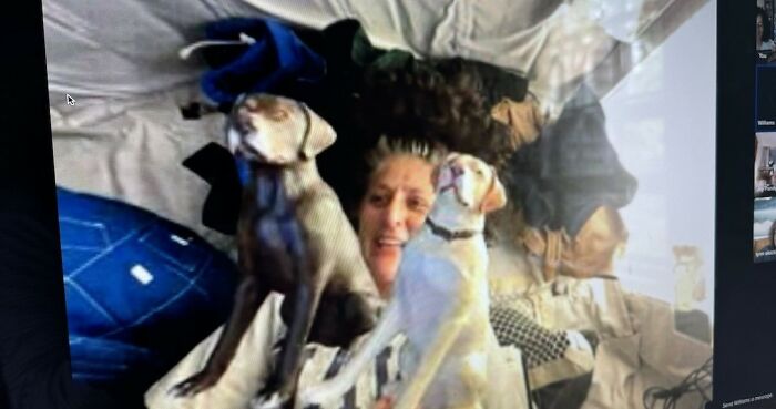 Astronaut joyfully reunited with her dogs after 10 months, sharing a heartfelt homecoming moment in a cozy setting.