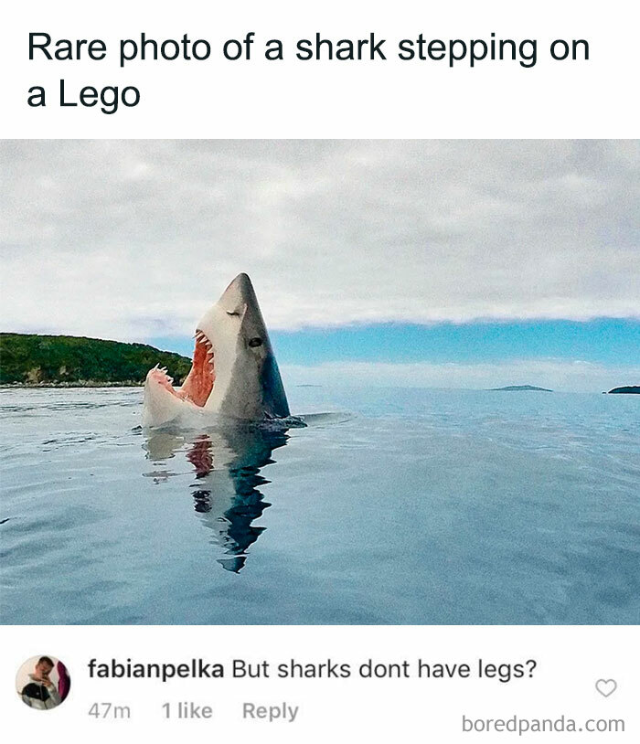 Shark with open mouth in water, highlighting a funny moment where people missed the joke embarrassingly online.