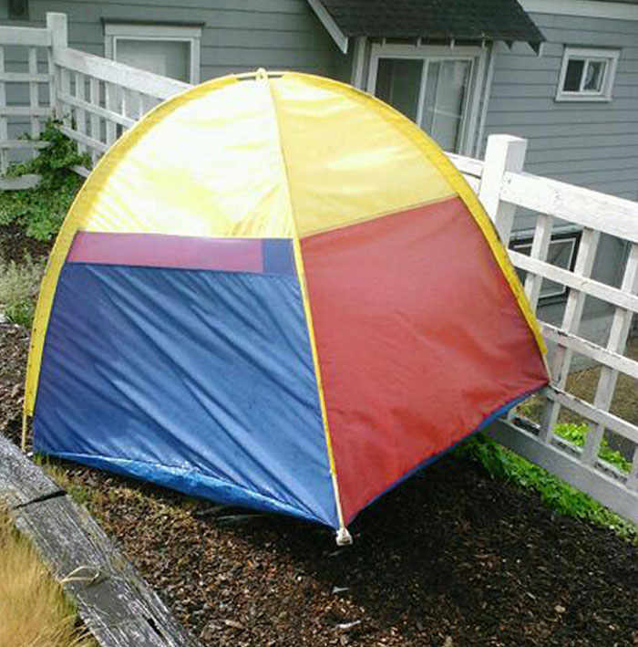 Colorful tent lifted by tree roots, showcasing wild nature’s power and unpredictability in an outdoor setting.