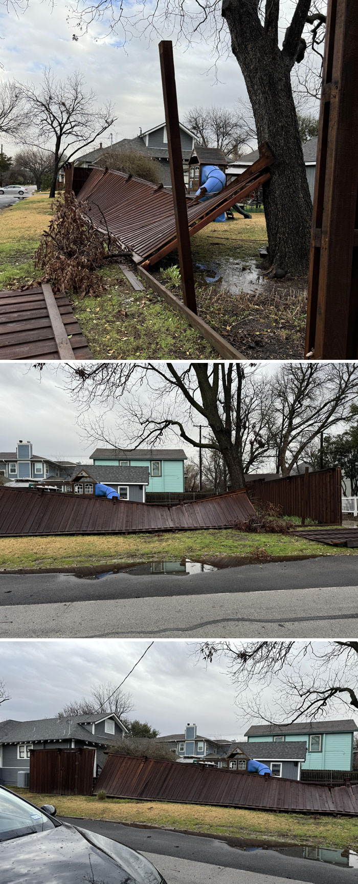 Damaged wooden fence fallen around large tree in residential neighborhood after storm, showing wild nature impact.
