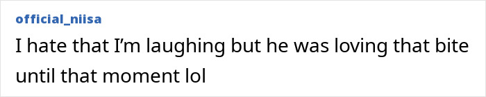 Text message on a white background showing a user named official_niisa saying they hate laughing but someone loved a bite until a certain moment.