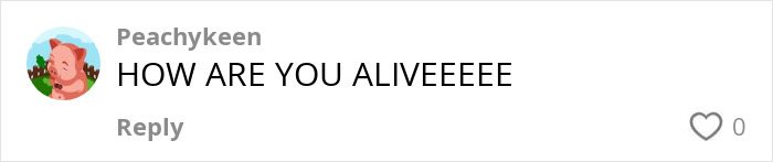 User comment by Peachykeen with text HOW ARE YOU ALIVEEEEEE in a social media thread.