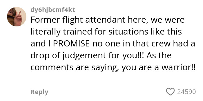 Comment from former flight attendant explaining training for extreme diarrhea emergencies on plane causing flight disruption.
