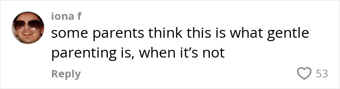 Social media comment discussing parenting amidst a passenger&rsquo;s worst experience with a bored child on flight.