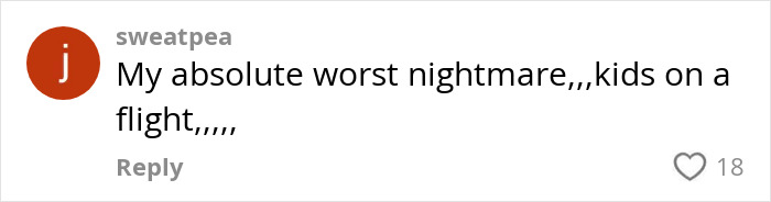 Comment expressing frustration about a passenger&rsquo;s worst experience with a bored child on a flight on social media.