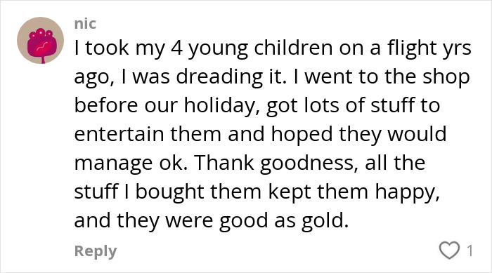 Comment from passenger sharing her worst experience with a bored child on flight sparking online debate.