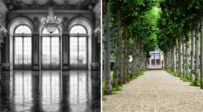 Comparison of an ornate empty ballroom with large windows and a bright outdoor path lined with trees for a would you rather poll 3 quiz.