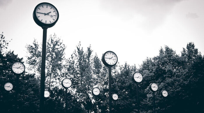 Several clocks mounted on poles above trees in a park setting, illustrating the concept of time in a would you rather poll.