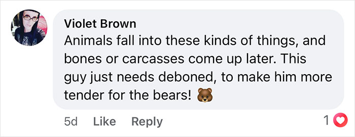 Comment by Violet Brown on visitor walking across forbidden area in Yellowstone, discussing animals and bears. - 15