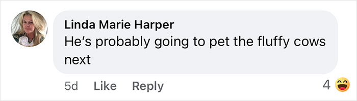 Comment from Linda Marie Harper joking about a Yellowstone visitor walking across a forbidden area, related to Rangers and netizen reactions. - 12
