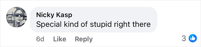 Comment from Nicky Kasp criticizing a Yellowstone visitor for walking across a forbidden area, sparking netizens' outrage. - 13