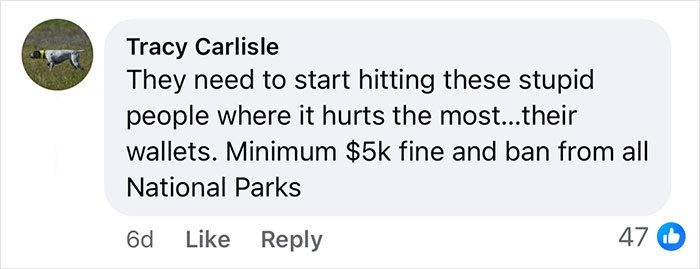 Social media comment demanding fines and bans for Yellowstone visitors walking across forbidden areas in national parks. - 8