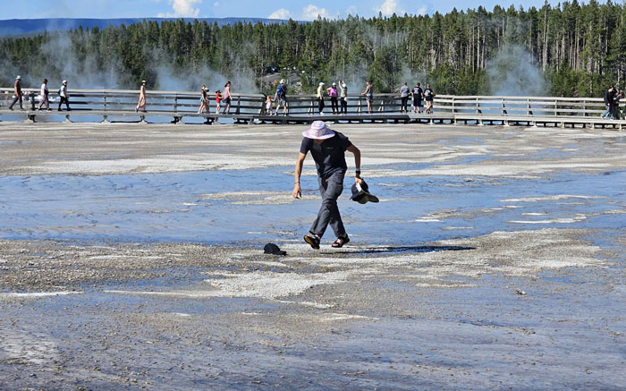 Visitor walking across forbidden area in Yellowstone National Park while others stay on boardwalk near steaming geothermal features. - 1