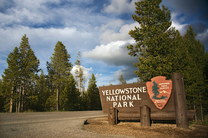 Yellowstone National Park entrance sign with trees and cloudy sky, highlighting concerns about visitors crossing forbidden areas. - 5