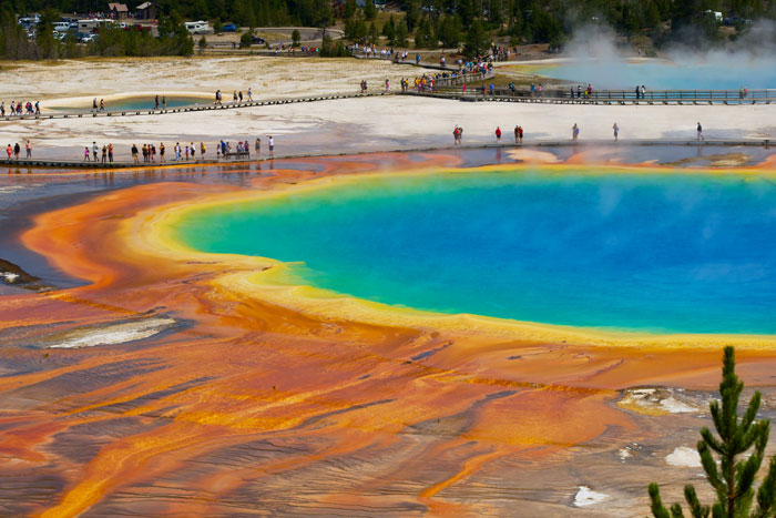 Visitors walking across forbidden area near Yellowstone hot spring, netizens question where the rangers are monitoring safety. - 6