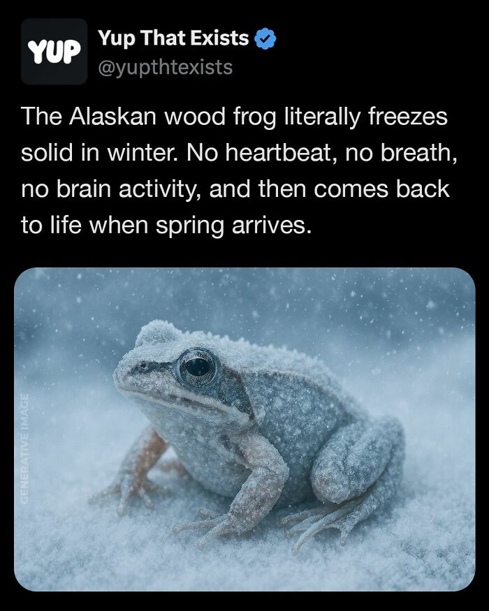 Yup-That-Exists-Pics